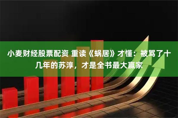 小麦财经股票配资 重读《蜗居》才懂:被骂了十几年的苏淳,才是全书最大赢家